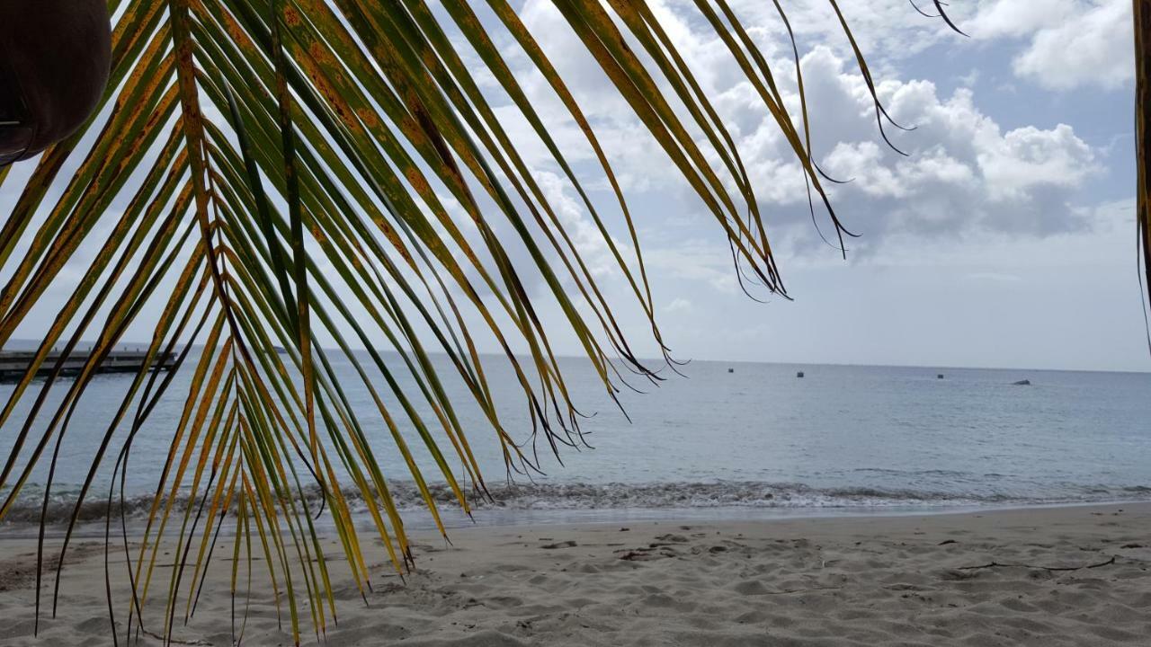 La Yole Des Caraibes Leilighet Les Anses-d'Arlets Eksteriør bilde